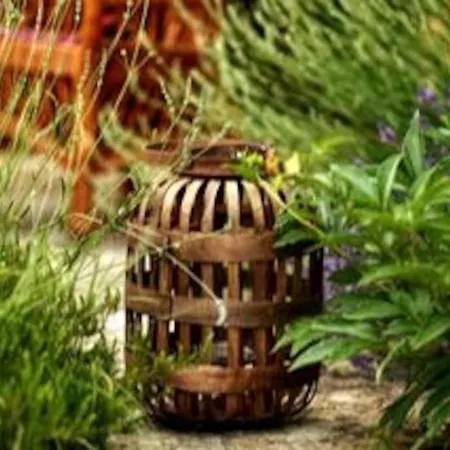 Holiday home Blossom Village Eco Farm Novi Sad