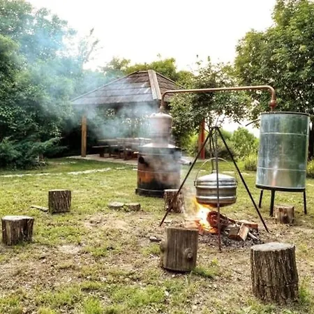 Blossom Village Eco Farm Holiday home Novi Sad
