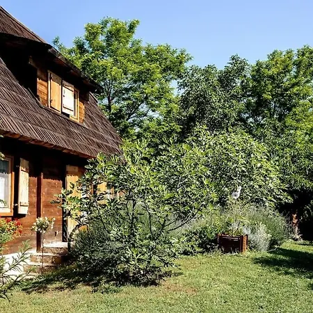 Blossom Village Eco Farm