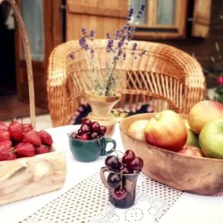 Holiday home Blossom Village Eco Farm Novi Sad
