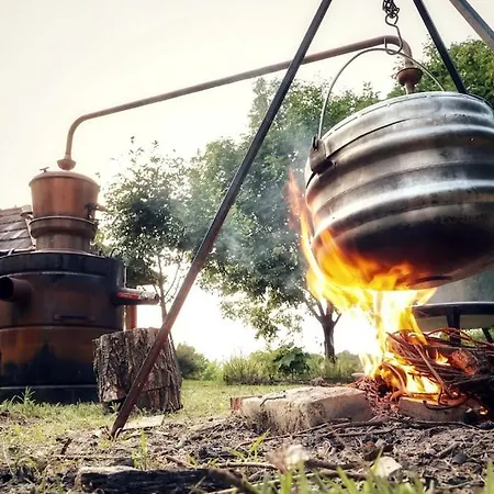 Blossom Village Eco Farm Holiday home Novi Sad