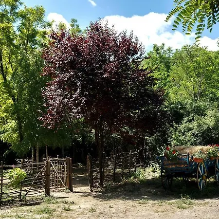 Blossom Village Eco Farm Holiday home Novi Sad